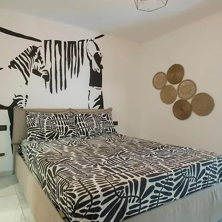 Style And Comfort In The Heart Of The Bolonia